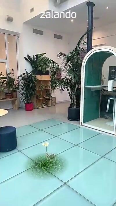 Zalando Nature — Zalando