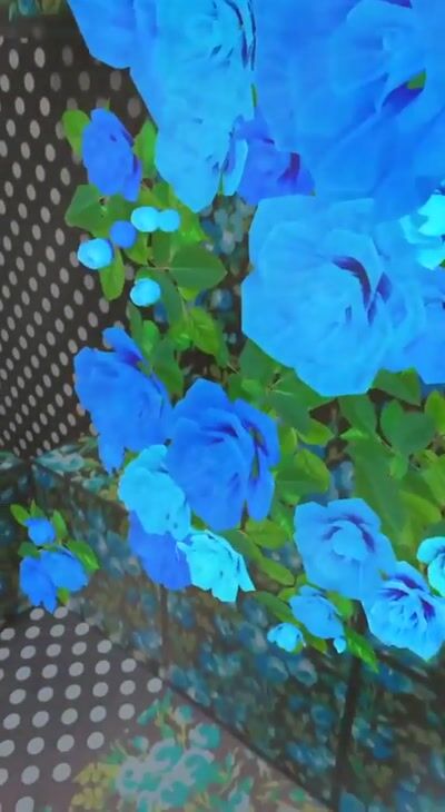 Vogue x Snapchat Richard Quinn — Vogue