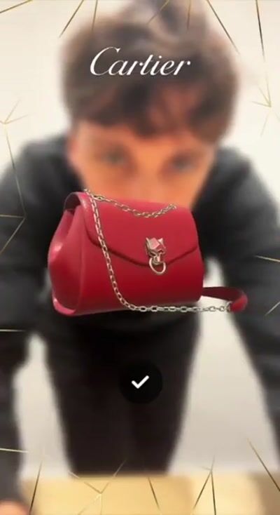 Panthère de Cartier Bag Try-On — Cartier