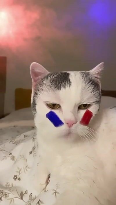 Vivo Euro World Cup — Vivo